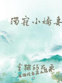 独宠小娇妻