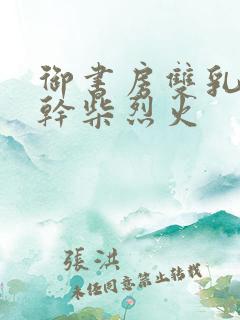 御书房双乳晃动干柴烈火