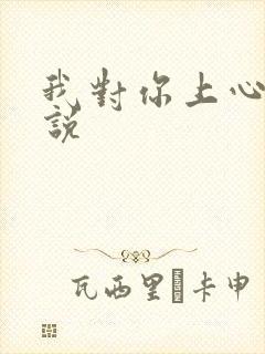 我对你上心了小说