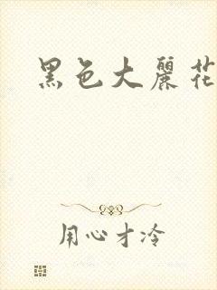 黑色大丽花图片
