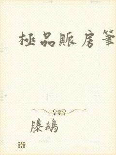 极品账房笔趣阁