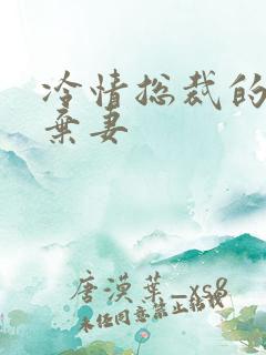 冷情总裁的新婚弃妻