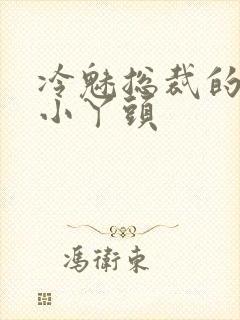 冷魅总裁的纯纯小丫头