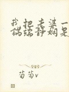 我把老婆一家一锅端静娴是什么书