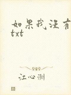 如果我没有爱过txt