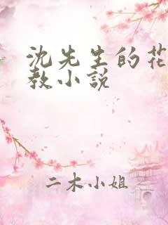 沈先生的花式调教小说