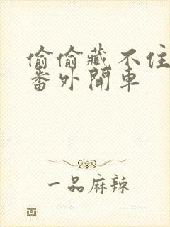 偷偷藏不住婚后番外开车