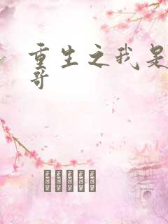 重生之我是大帅哥