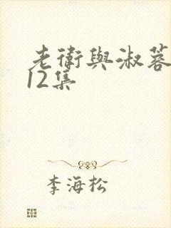 老卫与淑蓉1一12集