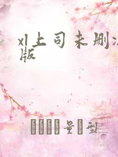 xl上司未删减版