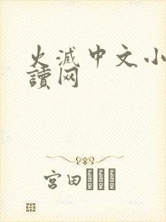 火灭中文小说阅读网