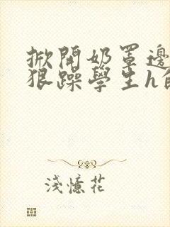 掀开奶罩边躁狠狠躁学生h的小说