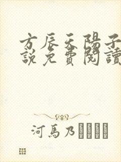 方辰天阳子的小说免费阅读