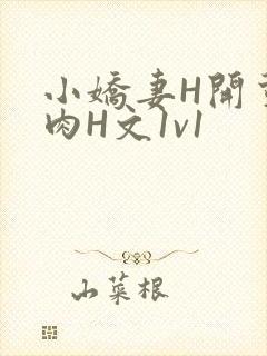 小娇妻H开荤粗肉H文1v1