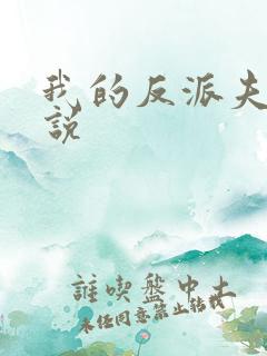 我的反派夫君小说