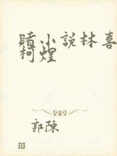 赌小说林喜朝和柯煜