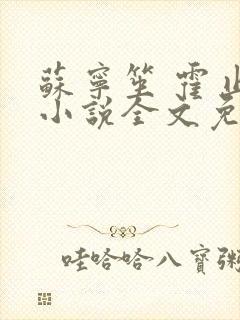 苏宁笙 霍止行小说全文免费阅读