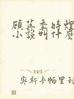 顾苒季时煜电竞小说叫什么名字