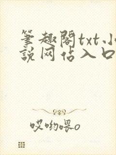 笔趣阁txt小说网站入口