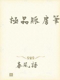 极品账房笔趣阁