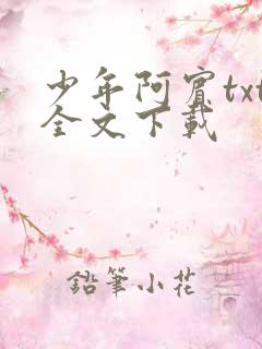 少年阿宾txt全文下载