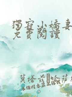 独宠小娇妻全文免费阅读