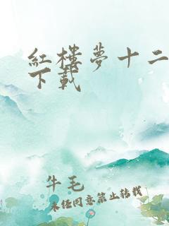 红楼梦十二金钗下载