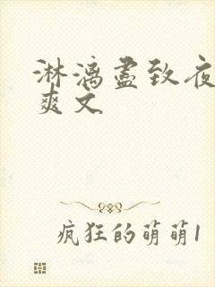 淋漓尽致夜晚小爽文