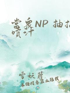 当众NP 抽搐喷汁