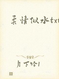 柔情似水txt