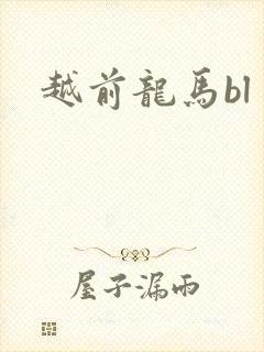 越前龙马bl