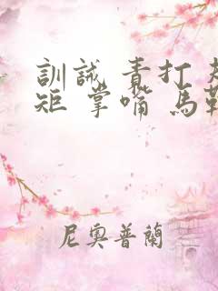 训诫 责打 规矩 掌嘴 马鞭