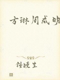 方琳周成明小说