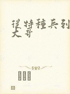 从特种兵到黑道大哥