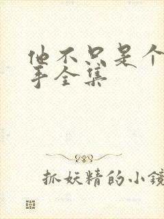 他不只是个狙击手全集