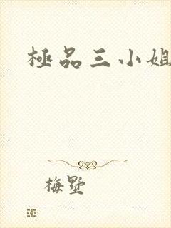 极品三小姐