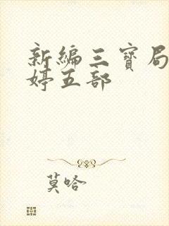 新编三宝局长许婷五部