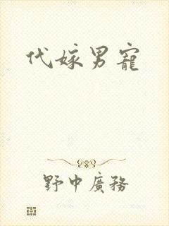 代嫁男宠