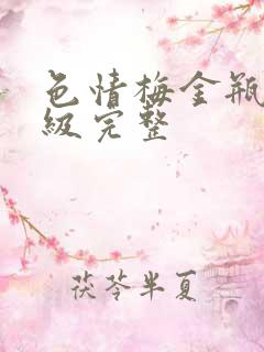 色情梅金瓶2三级完整