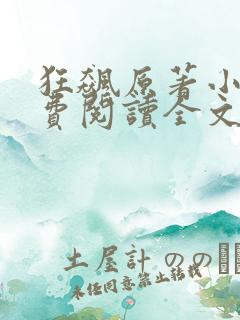 狂飙原著小说免费阅读全文