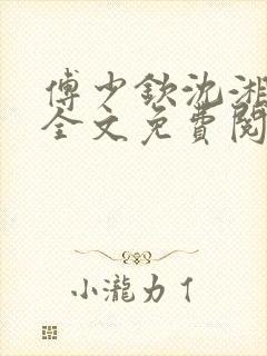 傅少钦沈湘小说全文免费阅读无广告