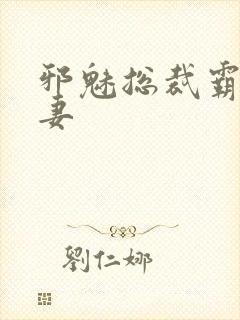 邪魅总裁霸占新妻