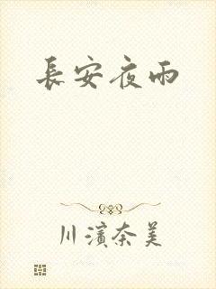 长安夜雨