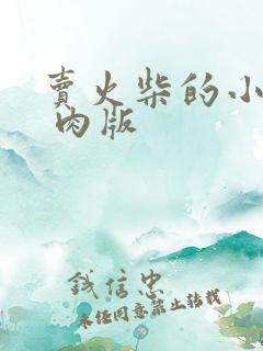 卖火柴的小男孩 肉版