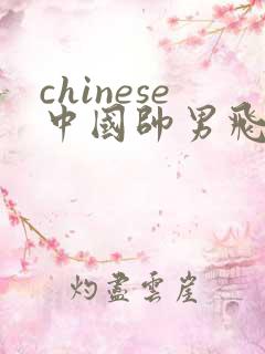 chinese中国帅男飞机