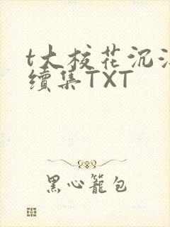 t大校花沉浮录续集TXT