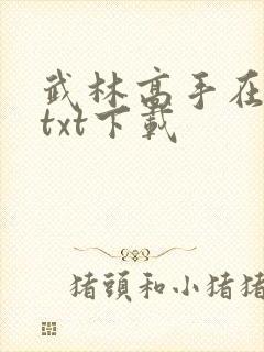 武林高手在校园txt下载