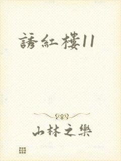 诱红楼11