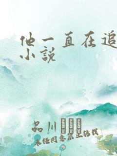 他一直在追初恋小说