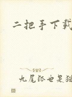 二把手下载